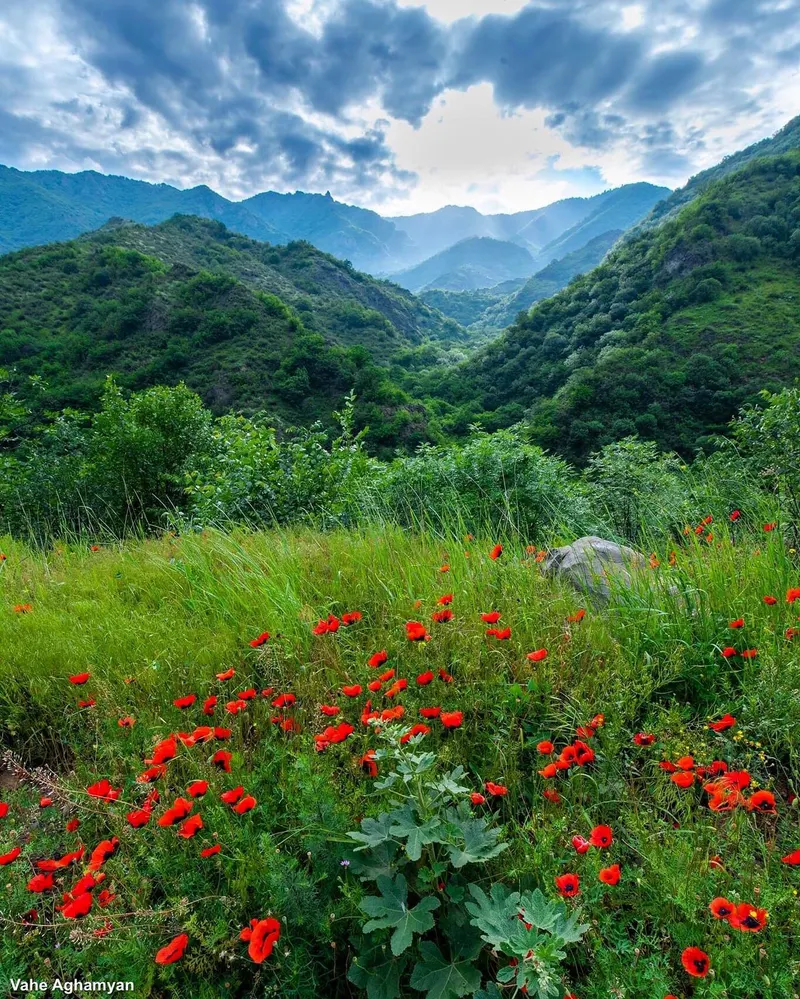 @ig_armenia — Armenia