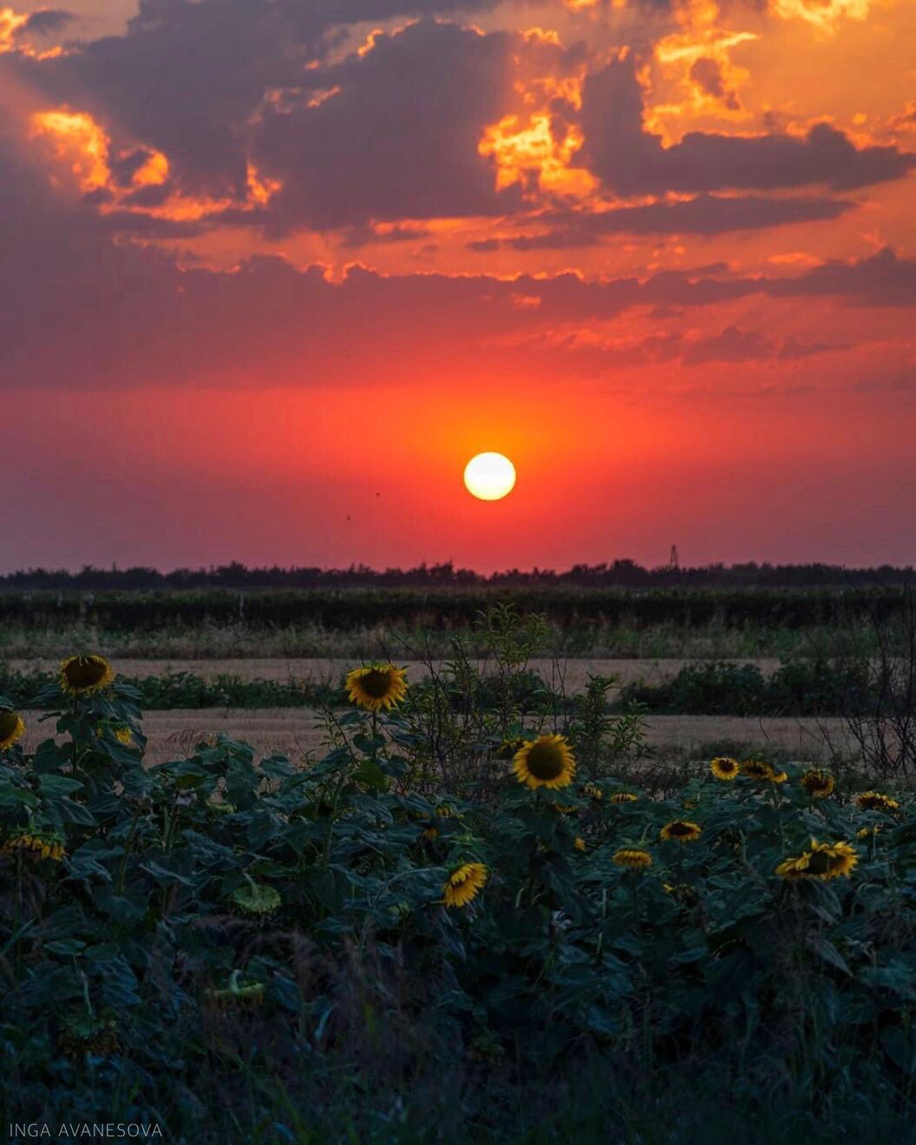 @ig_armenia — Armenia