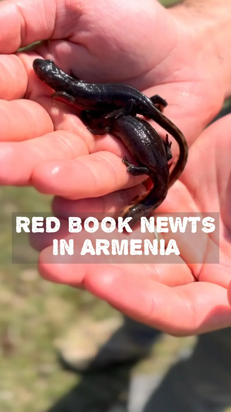 @unexplored_armenia — Unexplored Armenia