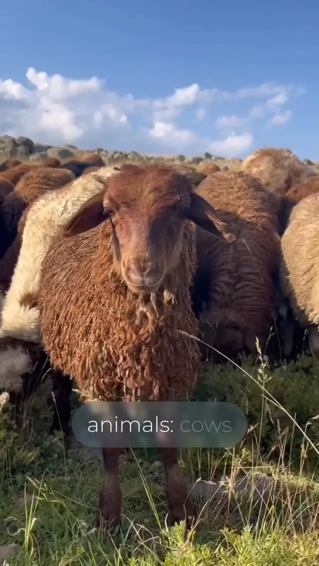 @unexplored_armenia — Unexplored Armenia