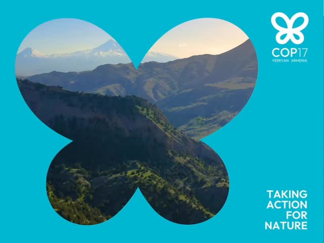 @explorearmenia — Explore Armenia